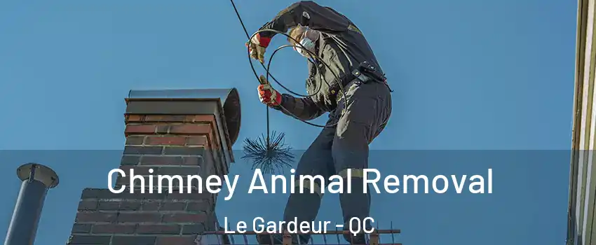 Chimney Animal Removal Le Gardeur - QC