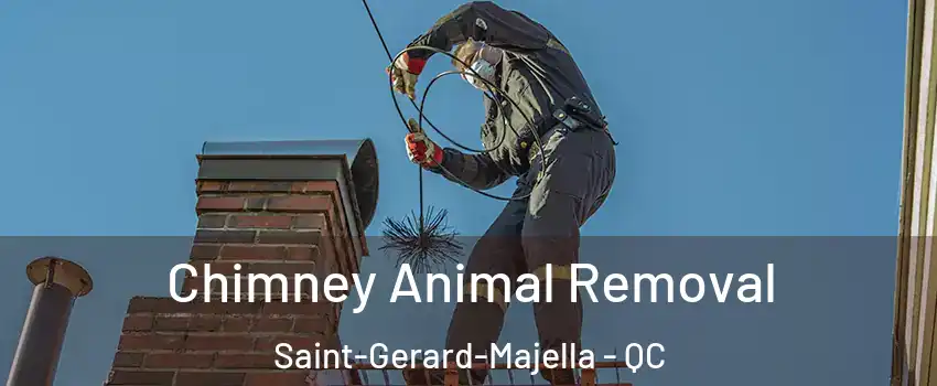 Chimney Animal Removal Saint-Gerard-Majella - QC