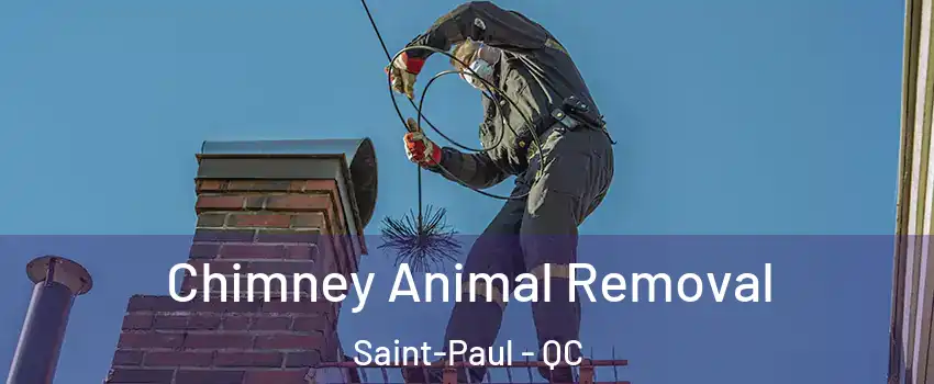  Chimney Animal Removal Saint-Paul - QC