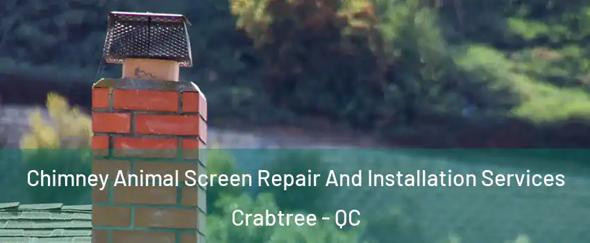  Chimney Animal Screen Repair And Installation Services Crabtree - QC