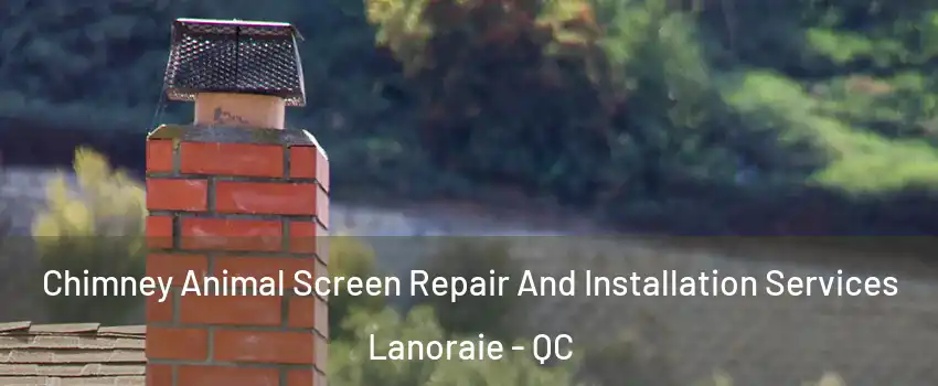  Chimney Animal Screen Repair And Installation Services Lanoraie - QC