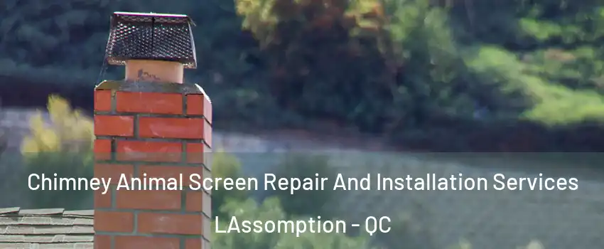  Chimney Animal Screen Repair And Installation Services LAssomption - QC