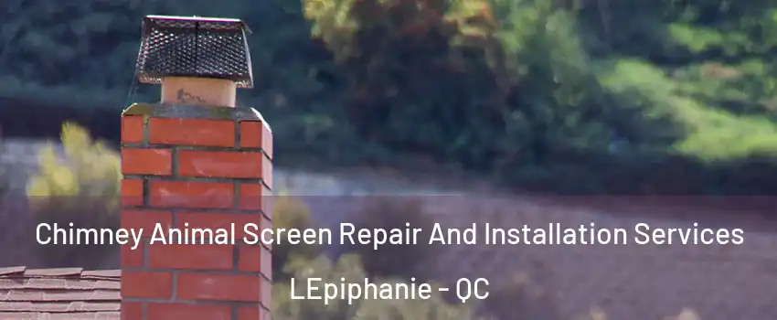  Chimney Animal Screen Repair And Installation Services LEpiphanie - QC
