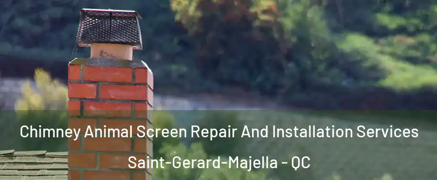  Chimney Animal Screen Repair And Installation Services Saint-Gerard-Majella - QC