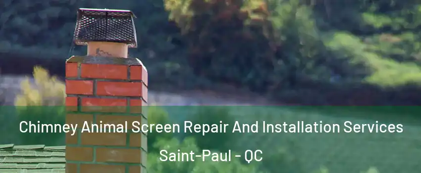  Chimney Animal Screen Repair And Installation Services Saint-Paul - QC
