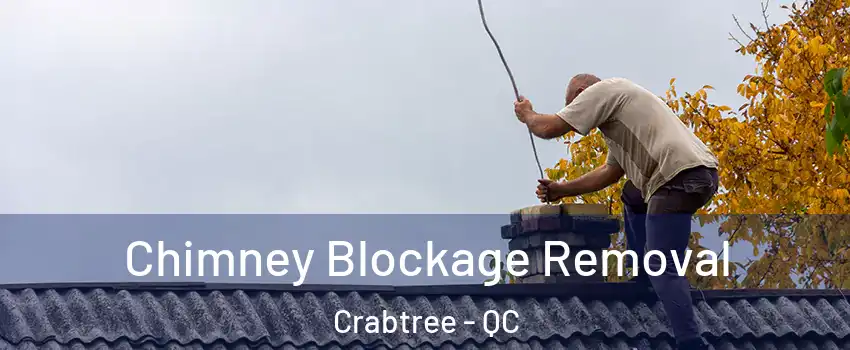  Chimney Blockage Removal Crabtree - QC