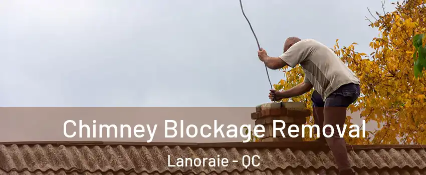  Chimney Blockage Removal Lanoraie - QC