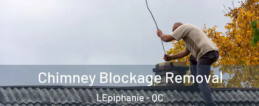  Chimney Blockage Removal LEpiphanie - QC