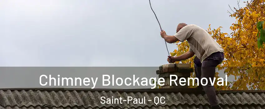  Chimney Blockage Removal Saint-Paul - QC