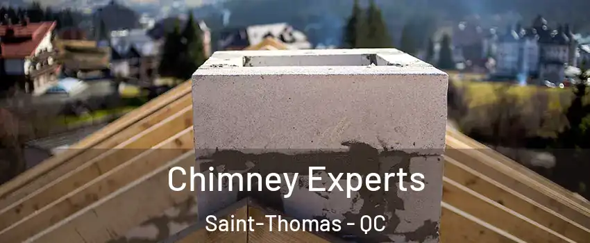Chimney Experts Saint-Thomas - QC