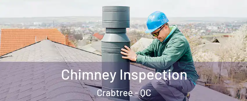  Chimney Inspection Crabtree - QC