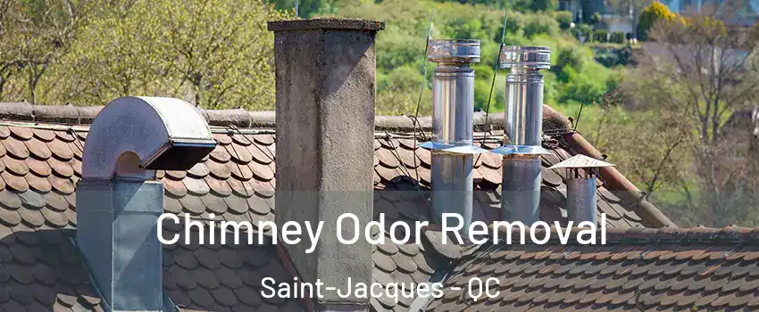  Chimney Odor Removal Saint-Jacques - QC