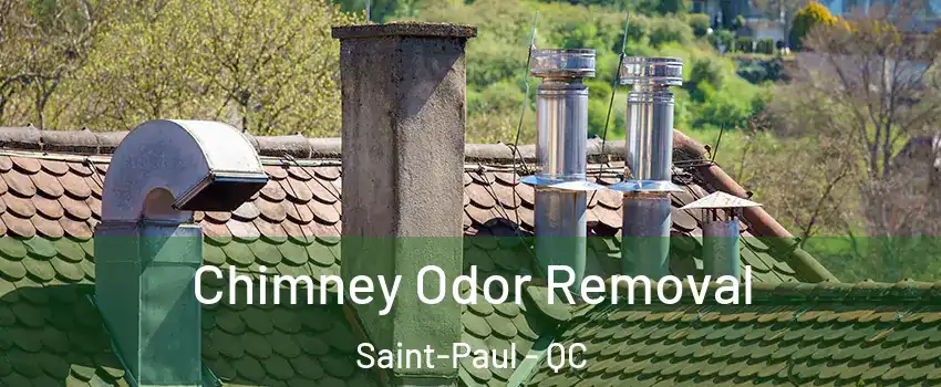  Chimney Odor Removal Saint-Paul - QC