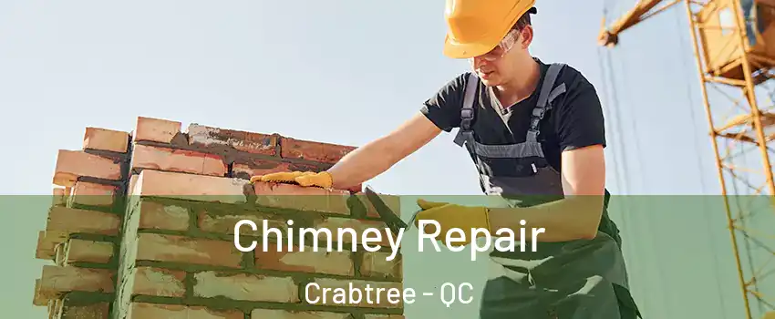  Chimney Repair Crabtree - QC