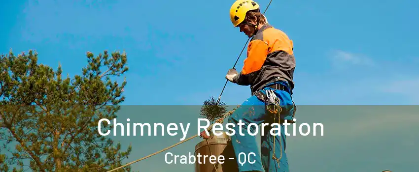  Chimney Restoration Crabtree - QC