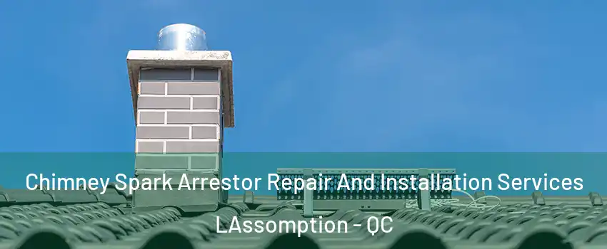  Chimney Spark Arrestor Repair And Installation Services LAssomption - QC