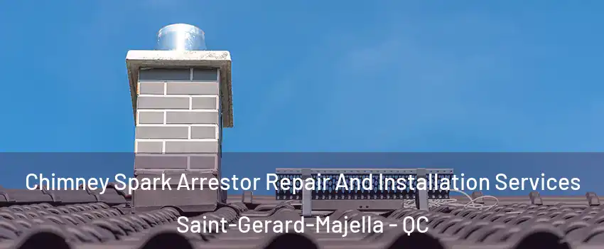  Chimney Spark Arrestor Repair And Installation Services Saint-Gerard-Majella - QC