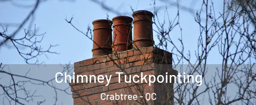 Chimney Tuckpointing Crabtree - QC