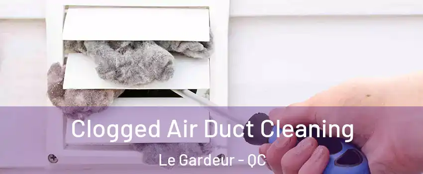  Clogged Air Duct Cleaning Le Gardeur - QC
