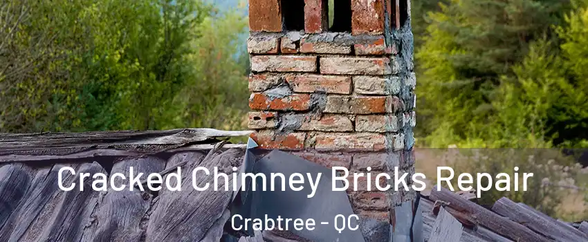  Cracked Chimney Bricks Repair Crabtree - QC