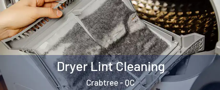  Dryer Lint Cleaning Crabtree - QC