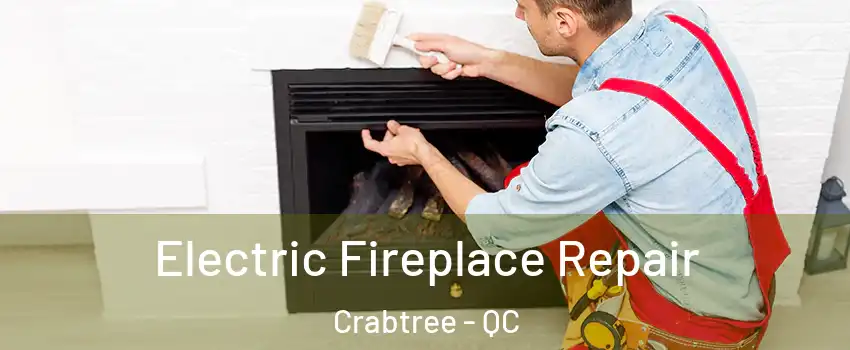  Electric Fireplace Repair Crabtree - QC