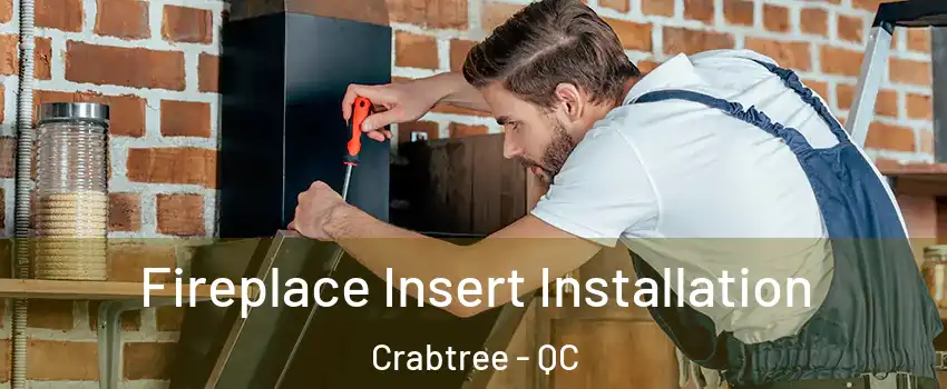  Fireplace Insert Installation Crabtree - QC