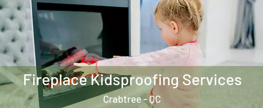  Fireplace Kidsproofing Services Crabtree - QC