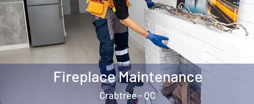  Fireplace Maintenance Crabtree - QC