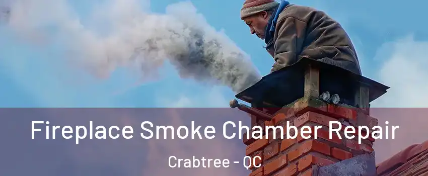  Fireplace Smoke Chamber Repair Crabtree - QC