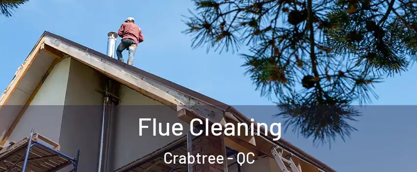  Flue Cleaning Crabtree - QC