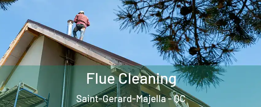  Flue Cleaning Saint-Gerard-Majella - QC