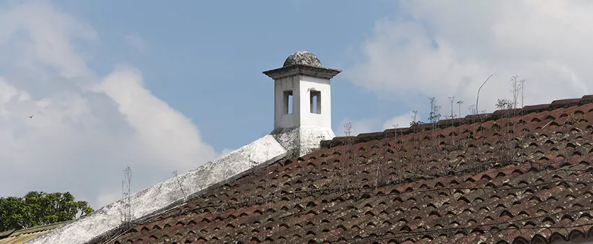 Wind-Resistant Chimney Caps Installation and Repair Services in Saint-Paul, Quebec