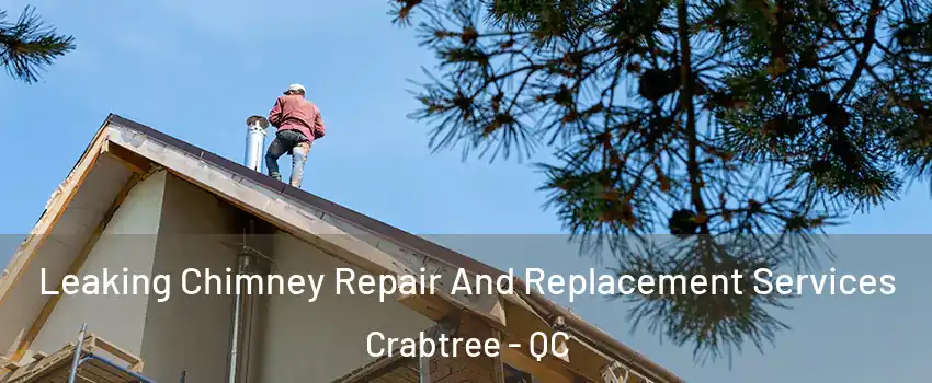  Leaking Chimney Repair And Replacement Services Crabtree - QC