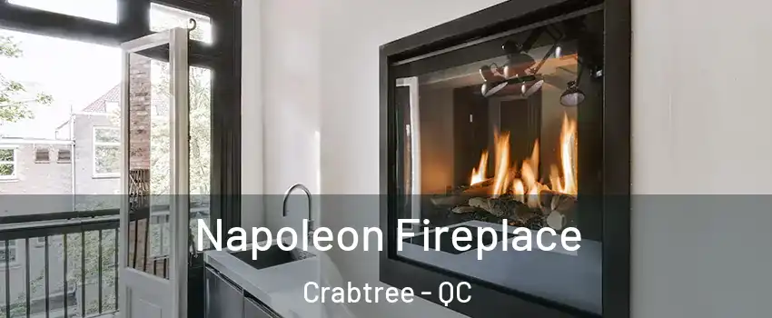  Napoleon Fireplace Crabtree - QC