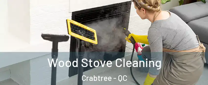  Wood Stove Cleaning Crabtree - QC